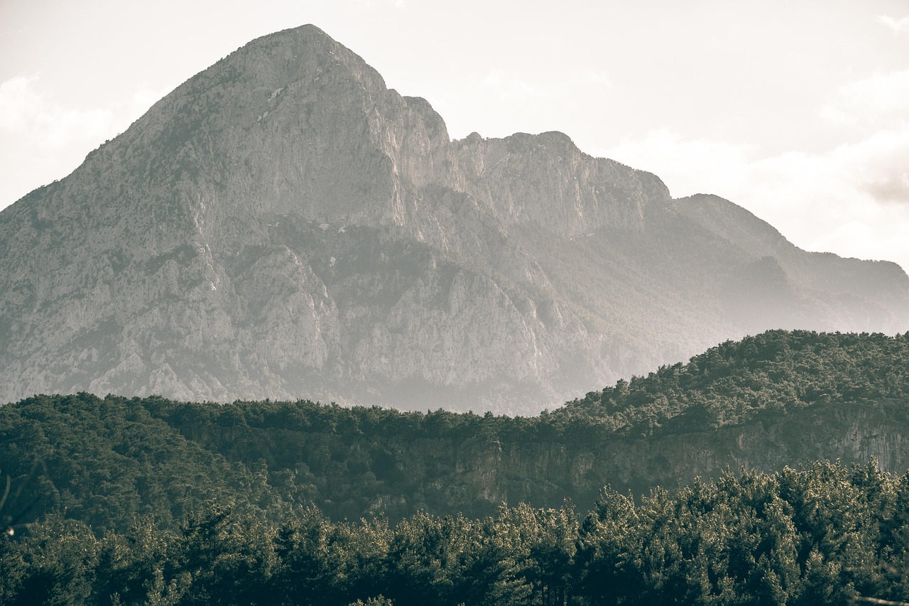 tree, forest, mountains, sky, antalya, turkey, camp, travel, picnic, nature, antalya, antalya, turkey, turkey, turkey, turkey, turkey, camp, camp, picnic, picnic, picnic